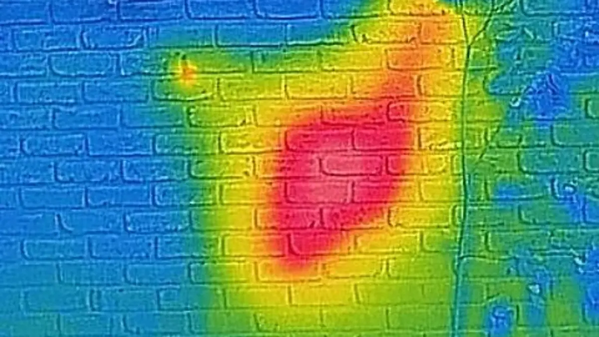 Infrarotbild von Hauswand mit Bienenstock dahinter.