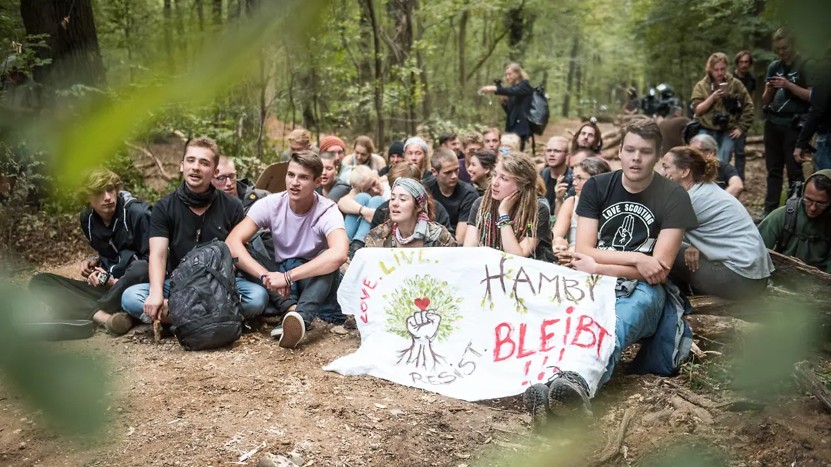 Waldspaziergang im Hambacher Forst & ziviler Ungehorsam Aktivisten mit Transparent: Hambi bleibt! blockieren eine Straße im Wald. *** Forest walk in the Hambacher Forst civil disobedience activists with transparent Hambi remains blocking a road in the forest