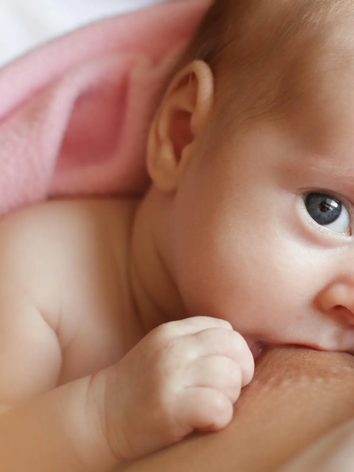 Bild zu: "Diese 4 Tipps helfen beim Abstillen"