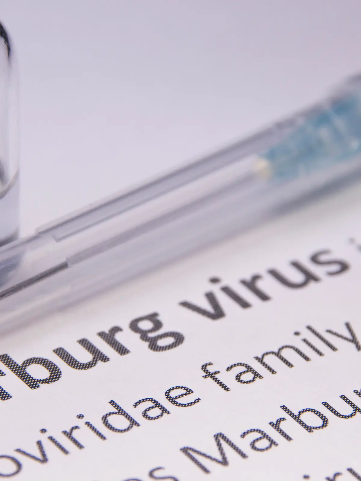 Das Marburg-Virus hat in Westafrika einen Toten gefordert..