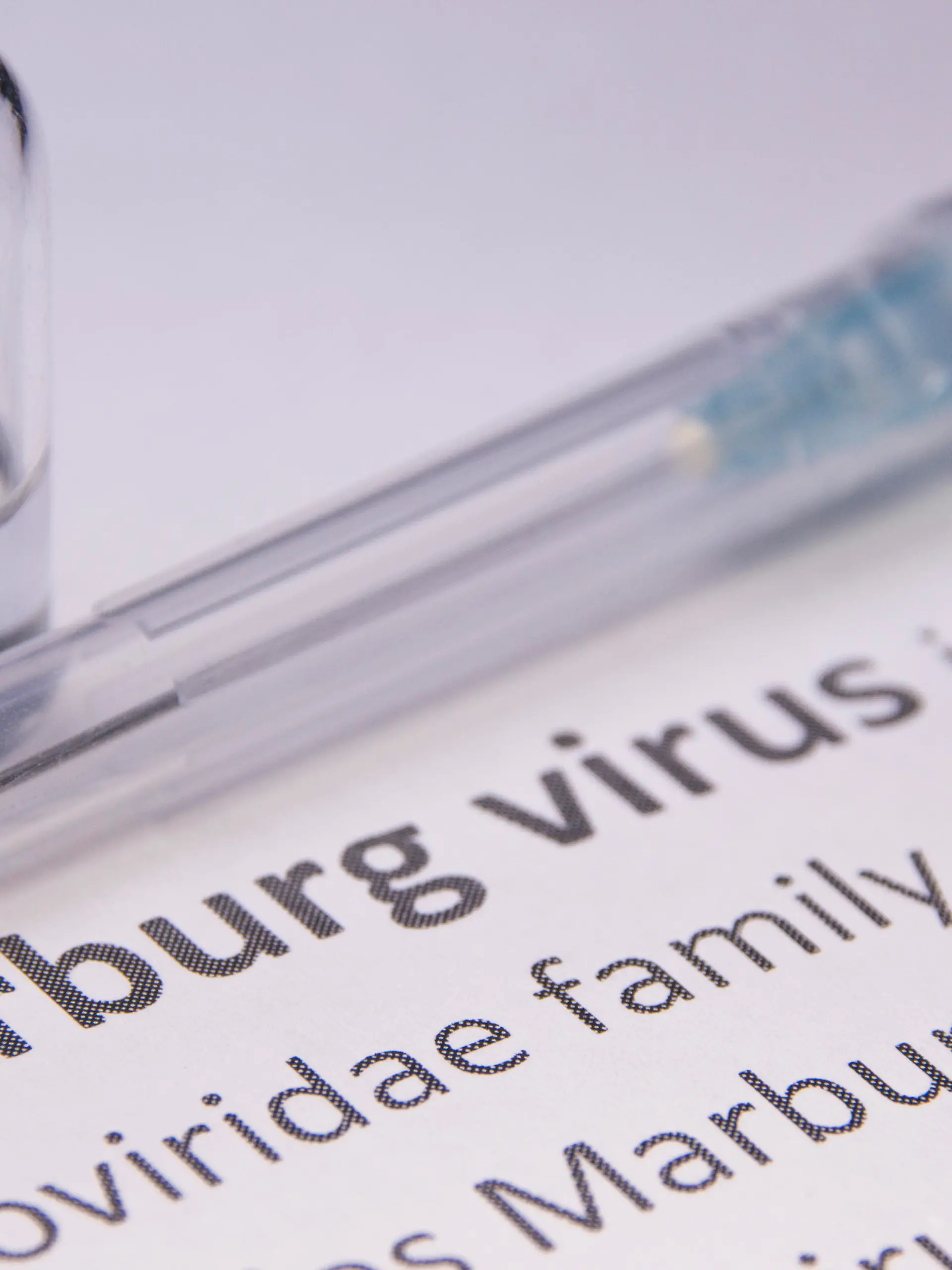 Das Marburg-Virus hat in Westafrika einen Toten gefordert..