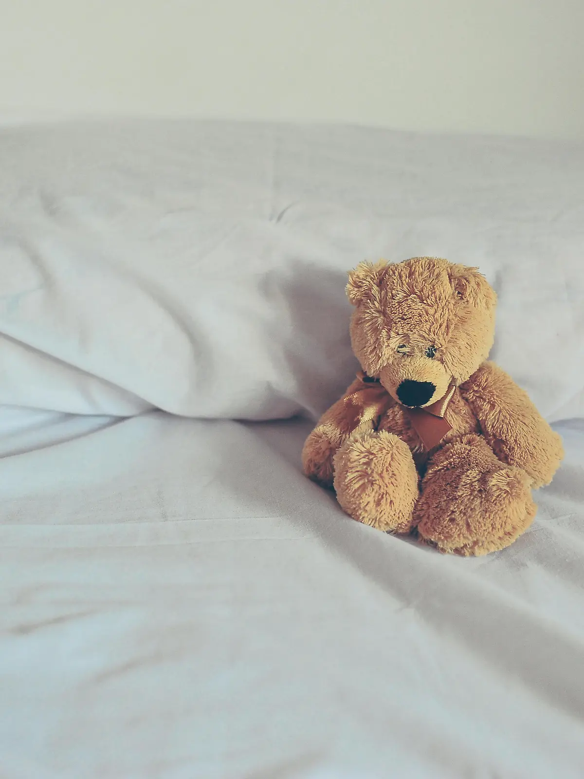 Teddy Bear in white bed