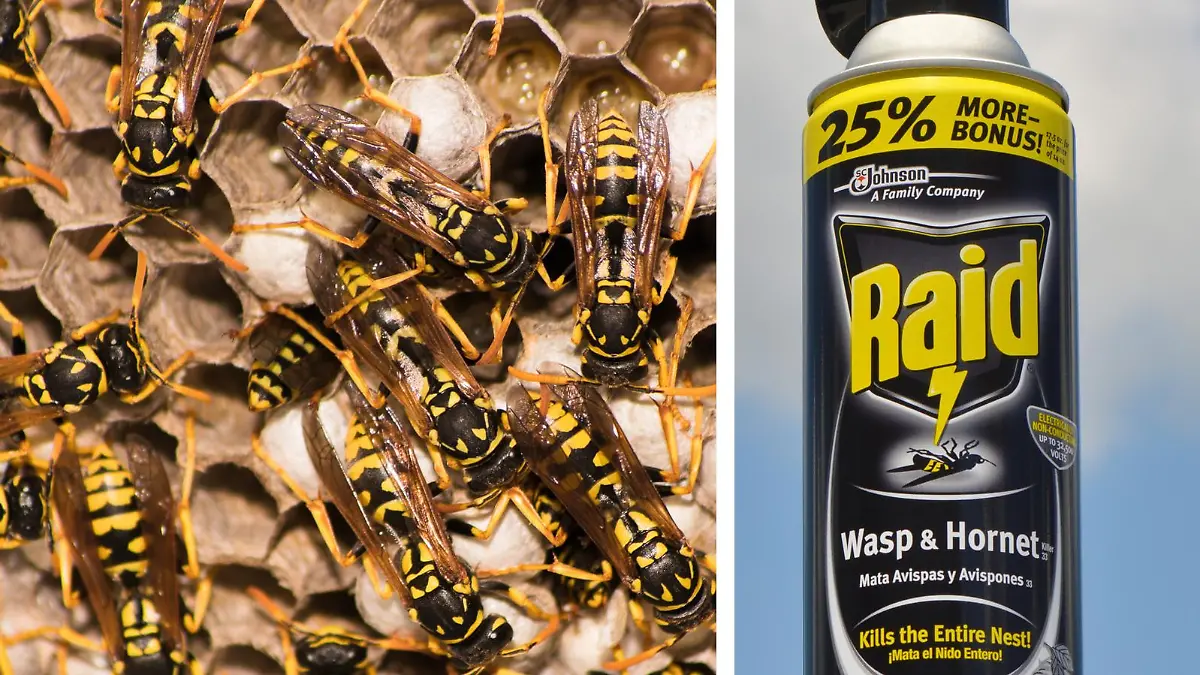 Der neue Drogentrend Wasping hat schlimme gesundheitliche Folgen