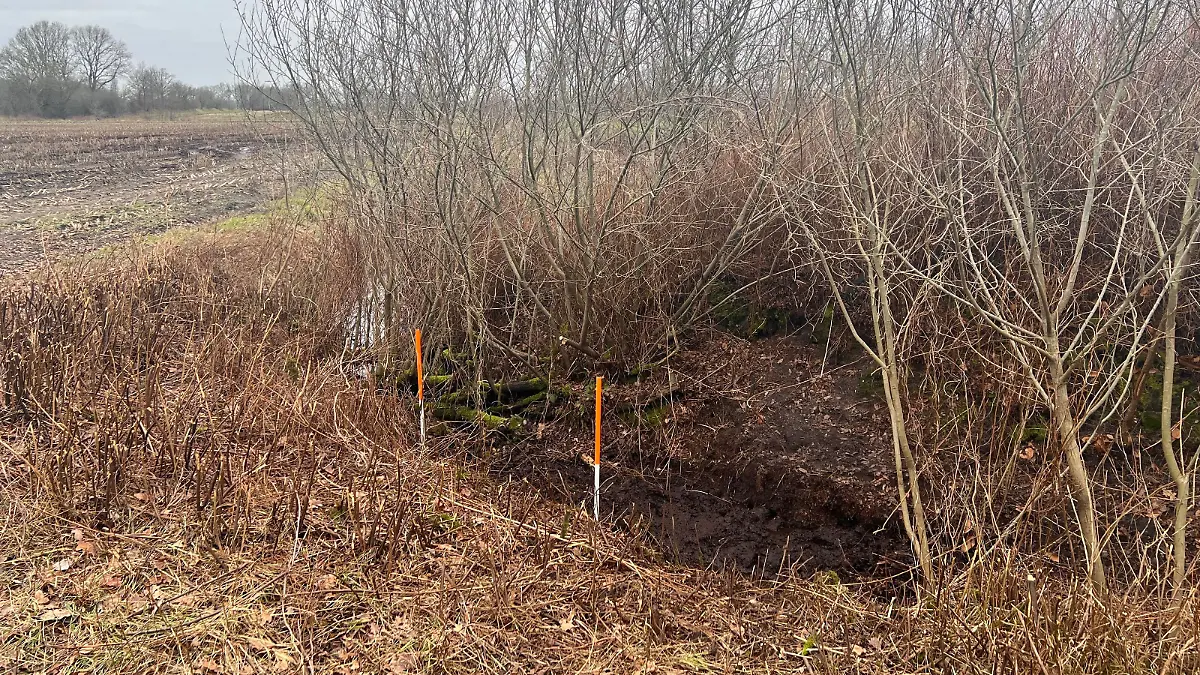 Hier finden Spaziergänger die Leiche von Thurayya K. aus Rendsburg. Es ist ein Feld bei Klein Bennebek im Kreis Schleswig-Flensburg.