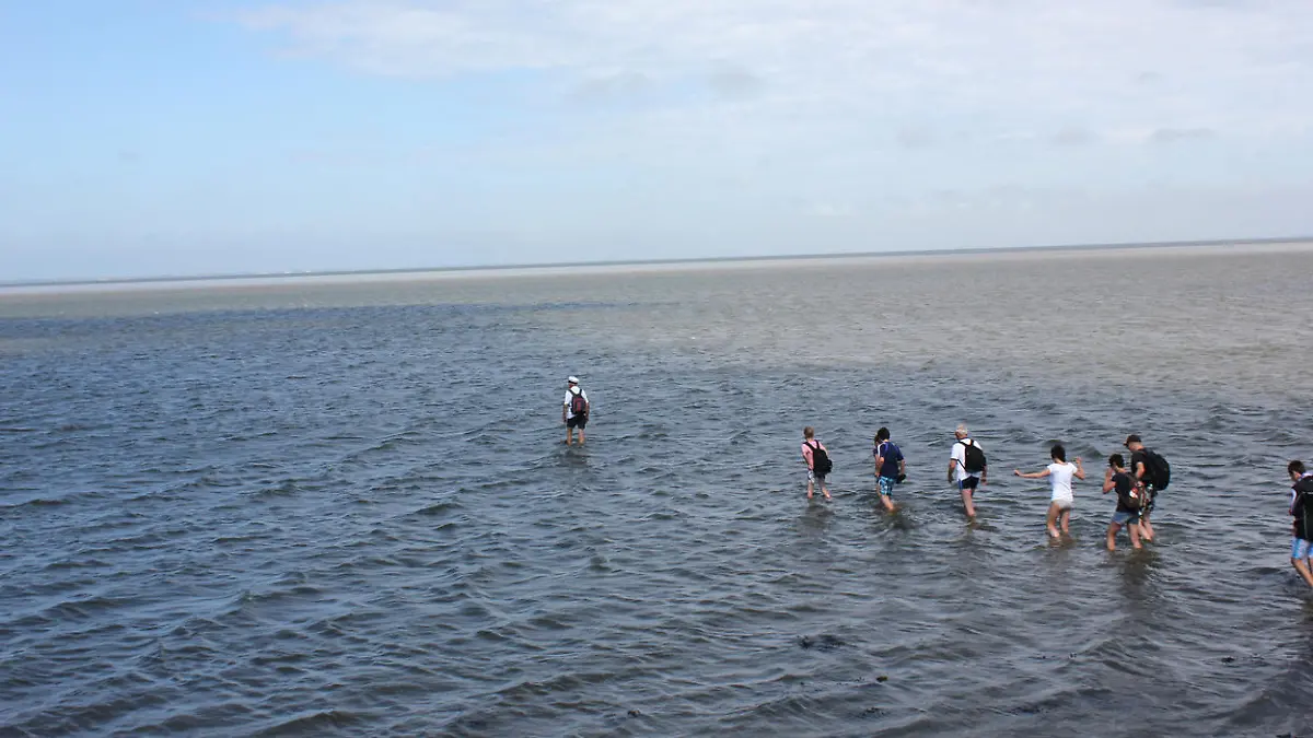 Im Wattenmeer sind besonders die Priele gefährlich für Wanderer. Auch durch Schlick und Treibsand droht Gefahr.