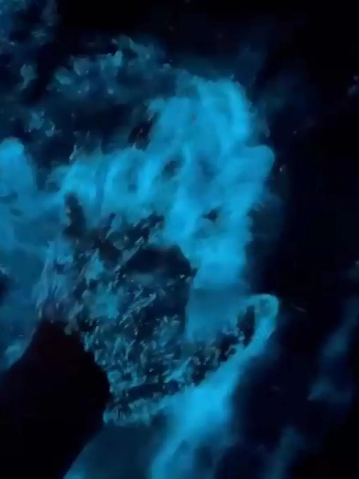 Lebt dieser Mann in einem Science-Fiction-Film?! Nein, dabei handelt es sich tatsächlich um ein natürliches Phänomen an der tasmanischen Ostküste. Der Name des Ganzen könnte allerdings schon aus einem Film sein: Biolumineszenz. Das heißt so viel wie „Leben“ und „Licht“ - und beschreibt das Spektakel ganz gut.