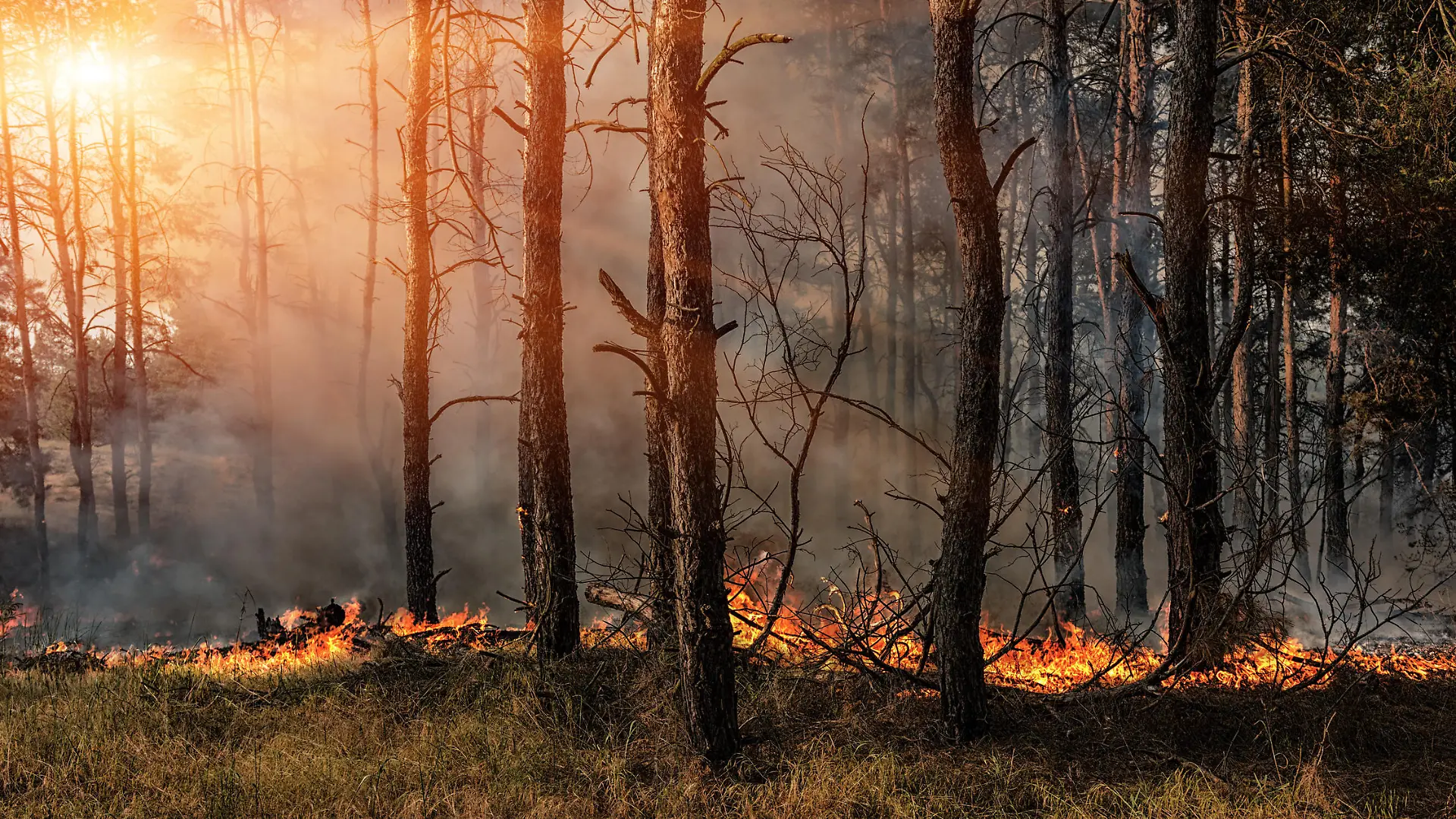 Waldbrand