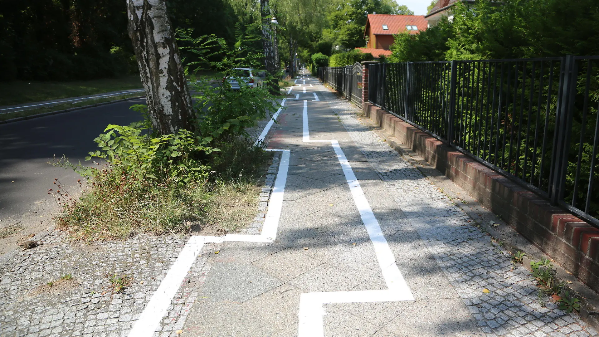 08.08.2018, Berlin: Im Zickzack verläuft ein Radweg im Stadtteil Zehlendorf. Die Markierungen sind jeweils in Höhe der Bäume verrückt. (zu dpa "«Eigentlich ganz hübsch» - Berlins neuer Gaga-Radweg" vom 08.08.2018) Foto: Nico Tapia/dpa +++ dpa-Bildfunk +++