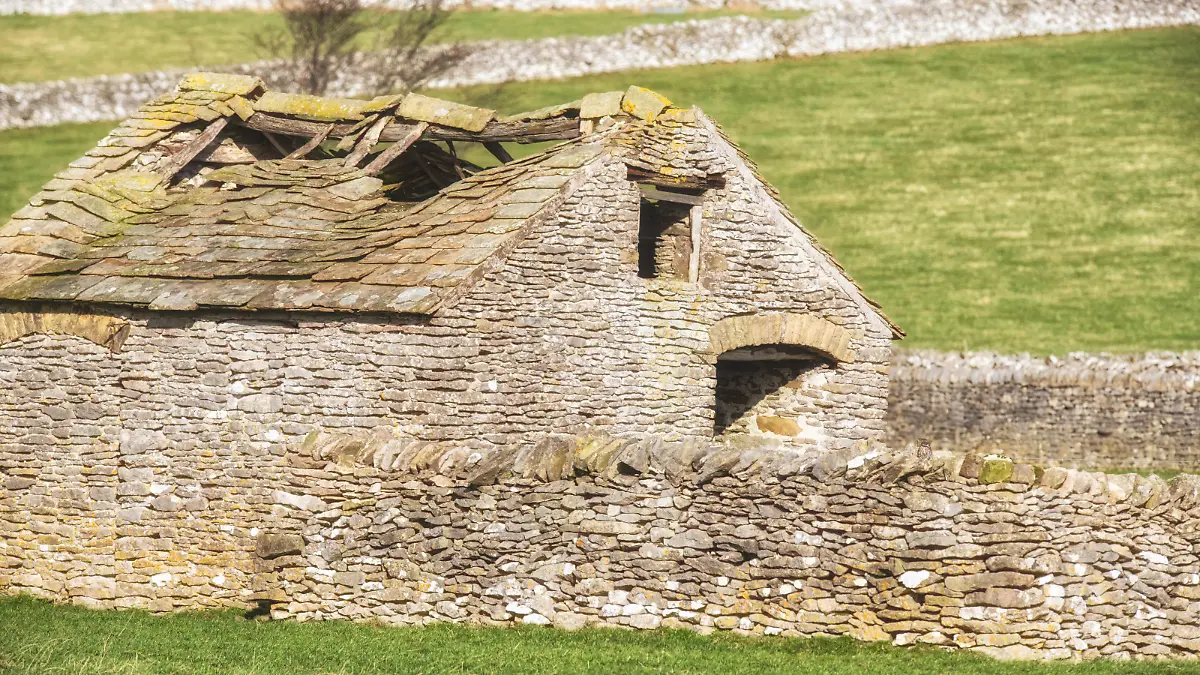 Villager Jim / CATERS NEWS (PICTURED Two owls are hiding can you spot them?) Owls hiding away in plain sight near Tideswell, weren't any match for Villager Jim's keen eye.