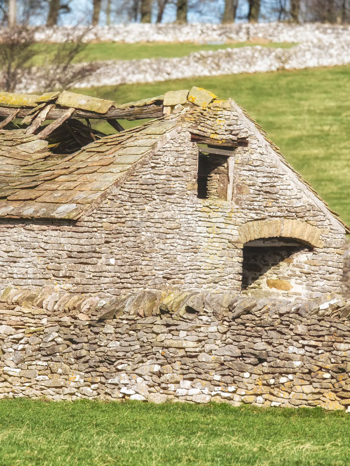 Villager Jim / CATERS NEWS (PICTURED Two owls are hiding can you spot them?) Owls hiding away in plain sight near Tideswell, weren't any match for Villager Jim's keen eye.
