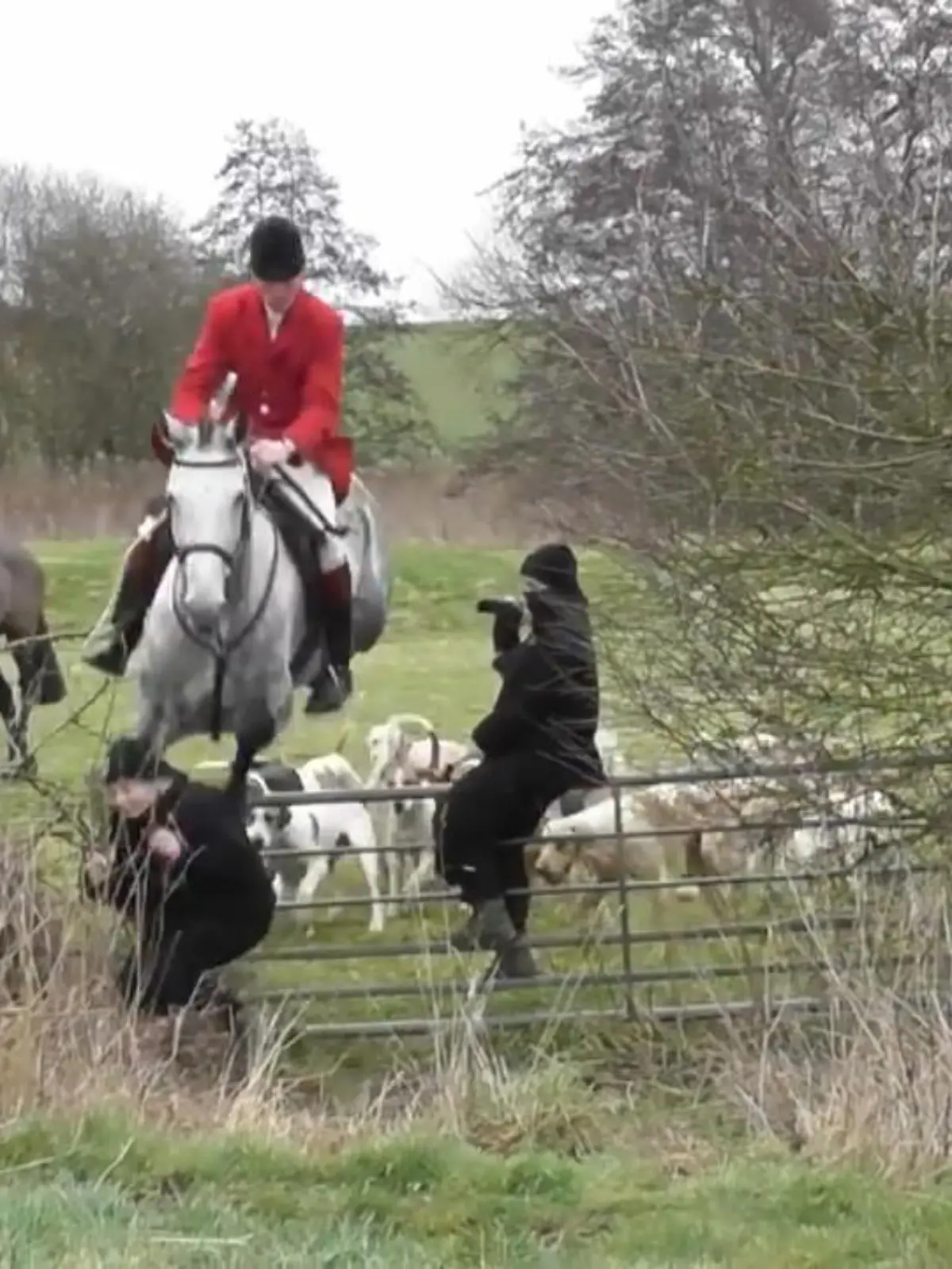 In Großbritannien geraten ein Jäger und zwei Aktivistinnen aneinander – beinahe mit ernsthaften Konsequenzen! Der Jäger fordert die beiden Mitglieder der Hertfordshire Jagdsaboteure dazu auf, Platz zu machen. Als die zwei Aktivistinnen zögern, setzt er seine Drohung sofort in die Tat um: Er springt über den Zaun und stößt eine der beiden zu Boden.