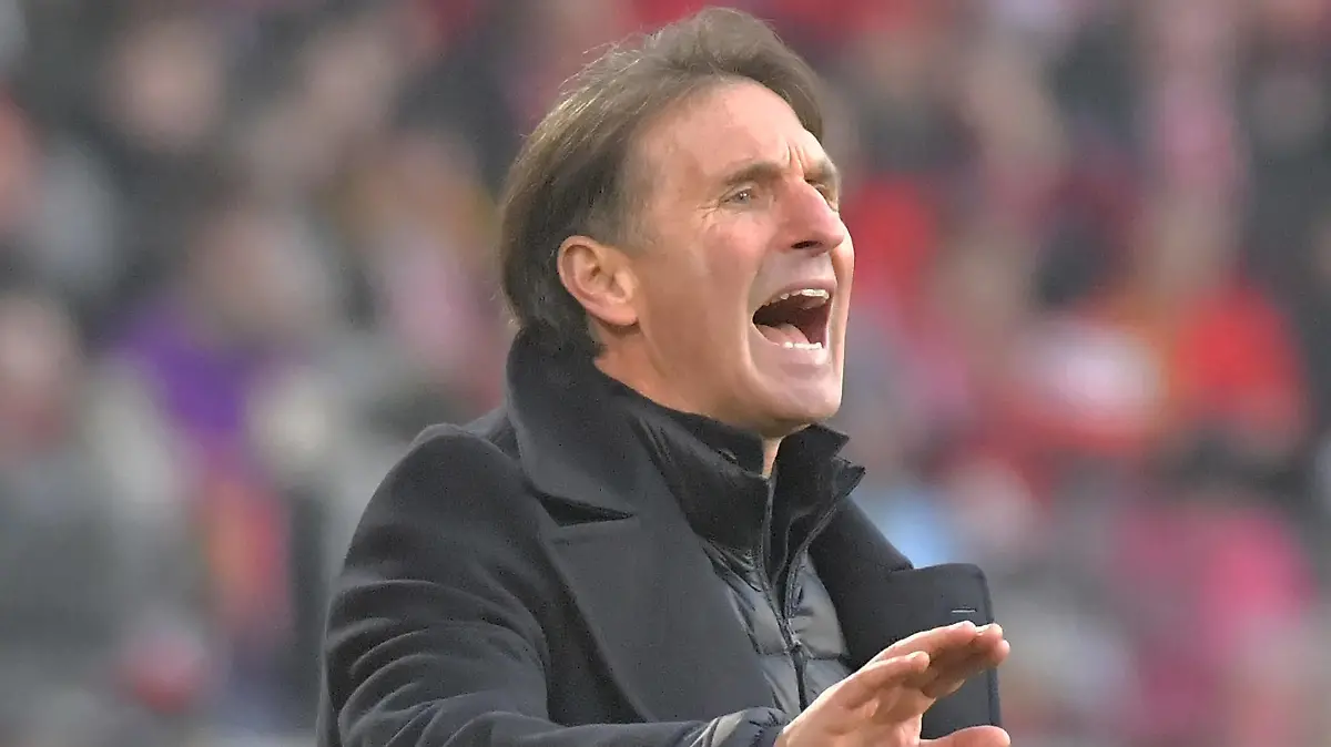 11.02.2023, xblx, Fussball 1.Bundesliga, SC Freiburg - VfB Stuttgart emspor, v.l. Trainer Bruno Labbadia VfB Stuttgart DFL/DFB REGULATIONS PROHIBIT ANY USE OF PHOTOGRAPHS as IMAGE SEQUENCES and/or QUASI-VIDEO Freiburg *** 11 02 2023, xblx, football 1 Bundesliga, SC Freiburg VfB Stuttgart emspor, v l coach Bruno Labbadia VfB Stuttgart DFL DFB REGULATIONS PROHIBIT ANY USE OF PHOTOGRAPHS as IMAGE SEQUENCES and or QUASI VIDEO Freiburg