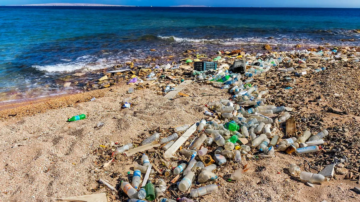 Garbage in the Beach and beautiful seascape in background, Egypt, Red Sea