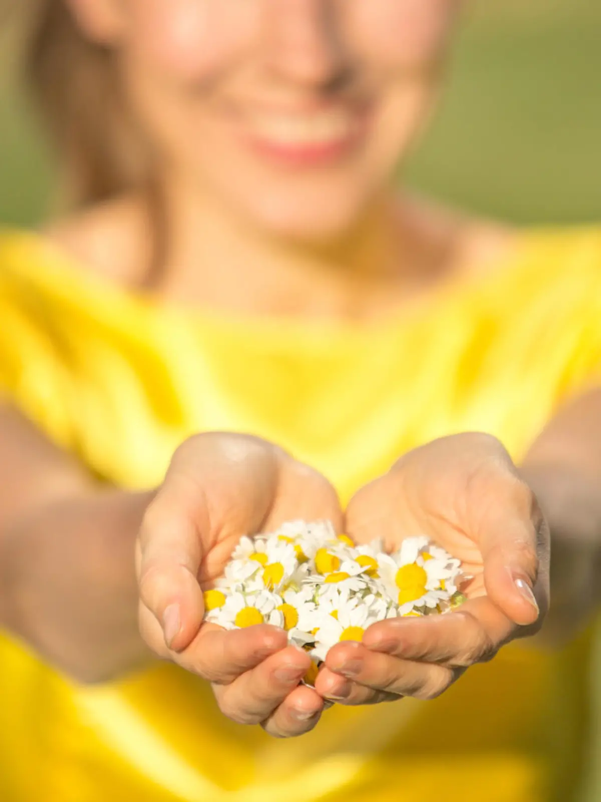 Gänseblümchen sind echt gesund