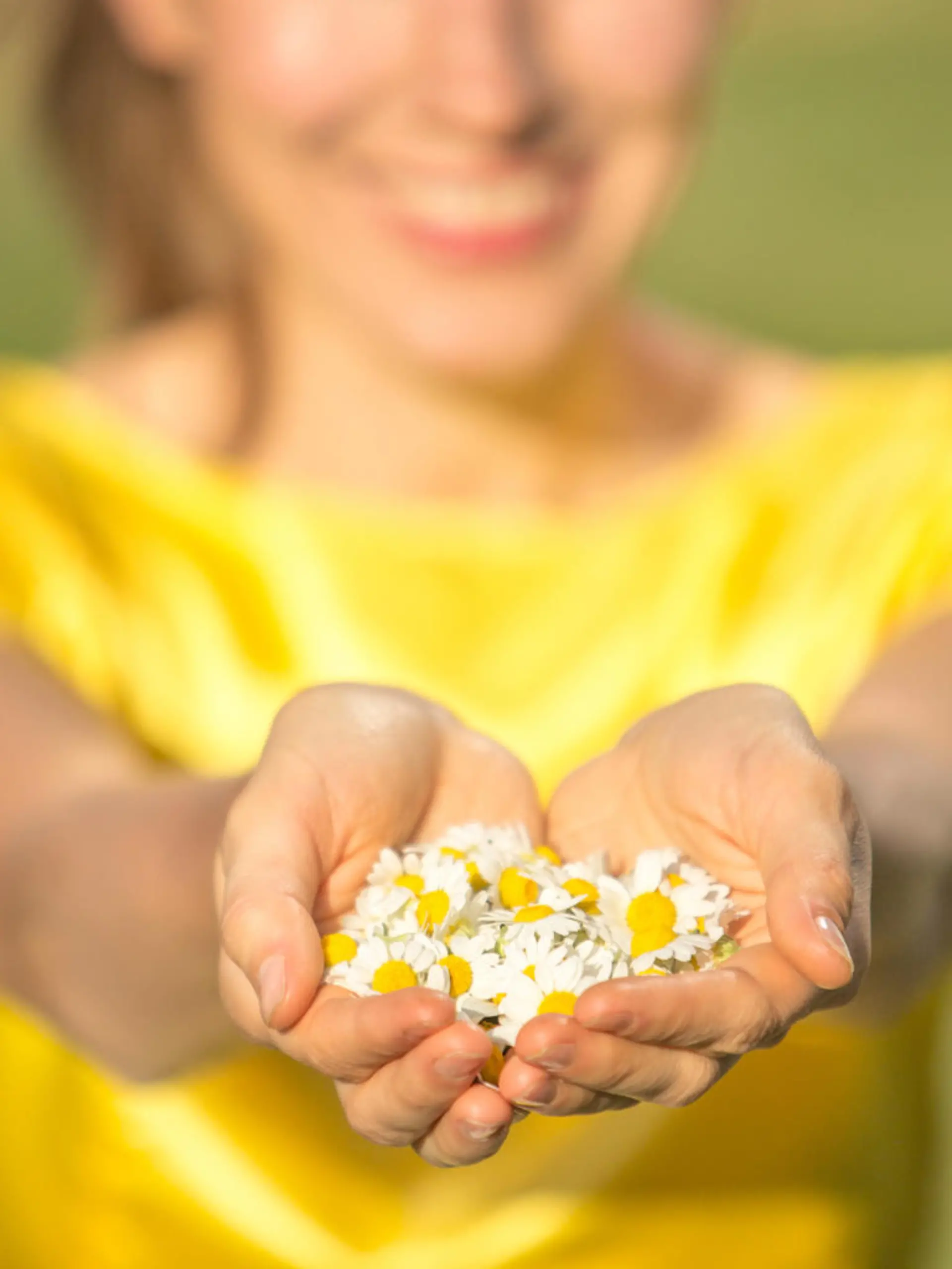 Gänseblümchen sind echt gesund