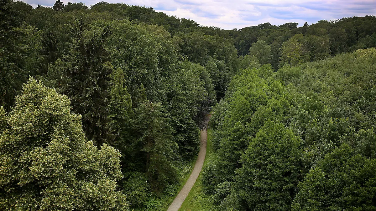 13.06.2018: Nordrhein-Westfalen, Velbert: Ein Weg führt durch einen Wald in der Nähe des Parkbades. Auf dem Weg nach Hause nach einem Freibadbesuch sollen mehrere Jungen eine 13-Jährige in einen Wald gezerrt und missbraucht haben. Foto: Oliver Berg/dpa +++ dpa-Bildfunk +++