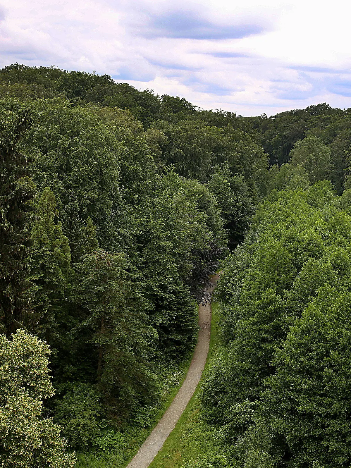 13.06.2018: Nordrhein-Westfalen, Velbert: Ein Weg führt durch einen Wald in der Nähe des Parkbades. Auf dem Weg nach Hause nach einem Freibadbesuch sollen mehrere Jungen eine 13-Jährige in einen Wald gezerrt und missbraucht haben. Foto: Oliver Berg/dpa +++ dpa-Bildfunk +++
