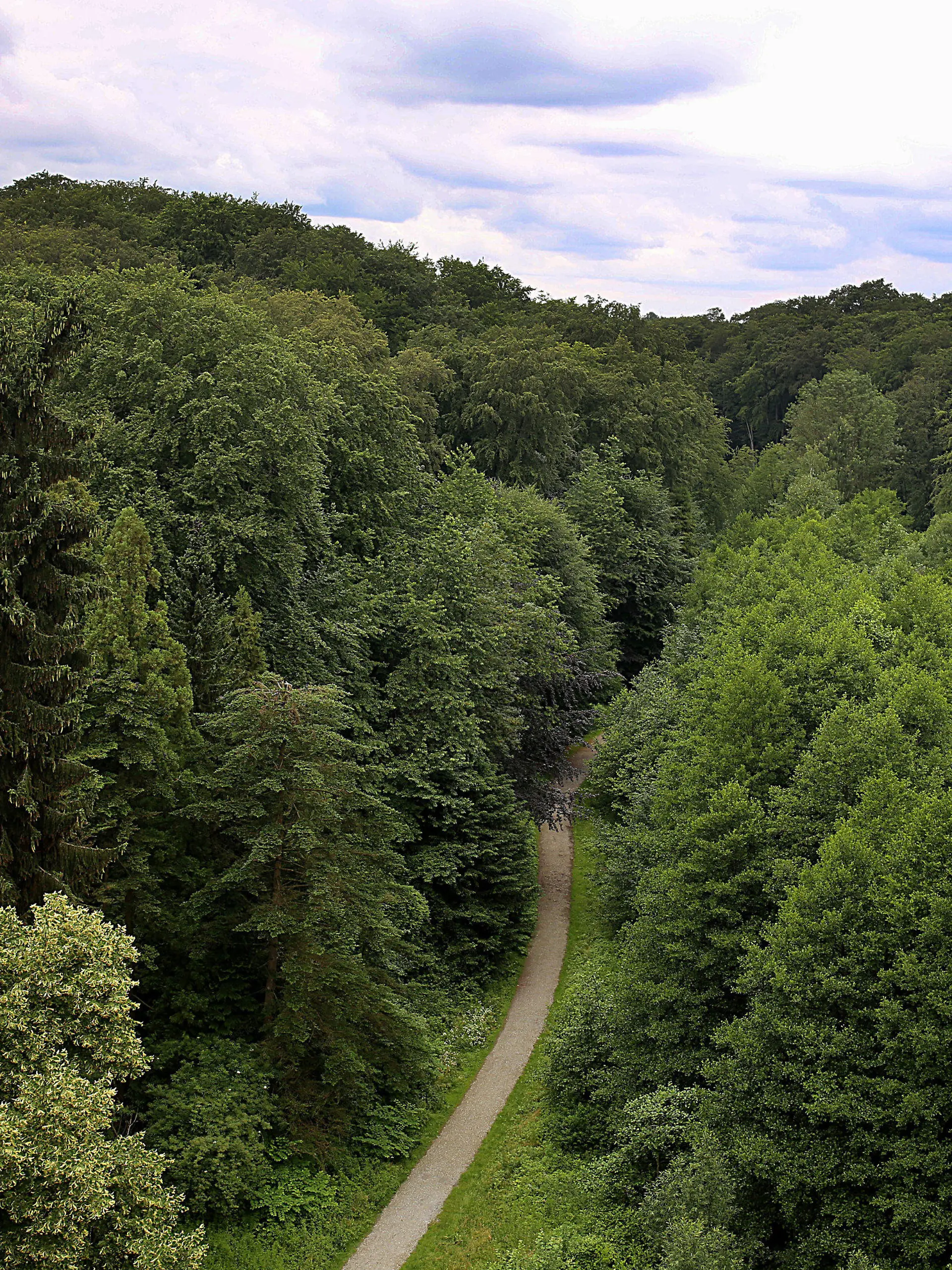 13.06.2018: Nordrhein-Westfalen, Velbert: Ein Weg führt durch einen Wald in der Nähe des Parkbades. Auf dem Weg nach Hause nach einem Freibadbesuch sollen mehrere Jungen eine 13-Jährige in einen Wald gezerrt und missbraucht haben. Foto: Oliver Berg/dpa +++ dpa-Bildfunk +++