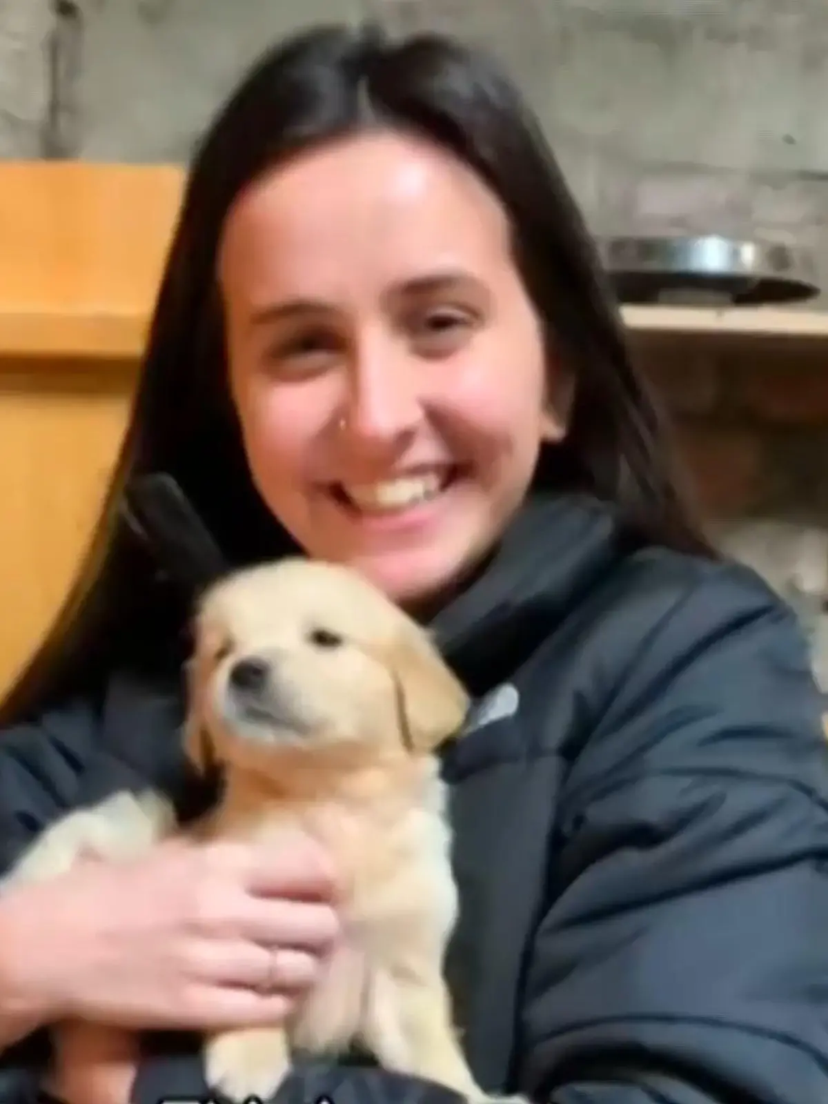 Holly Mitchell will die nächste Zeit zu der schönsten im Leben ihres Golden Retrivers Ted machen - denn in wenigen Monaten wird er vermutlich sterben. Der dreijährige Golden Retriever ist mit einer Lungenfibrose zur Welt gekommen. Die Krankheit verschlechtert sein Immunssystem schrittweise - eine Heilung ist nicht möglich