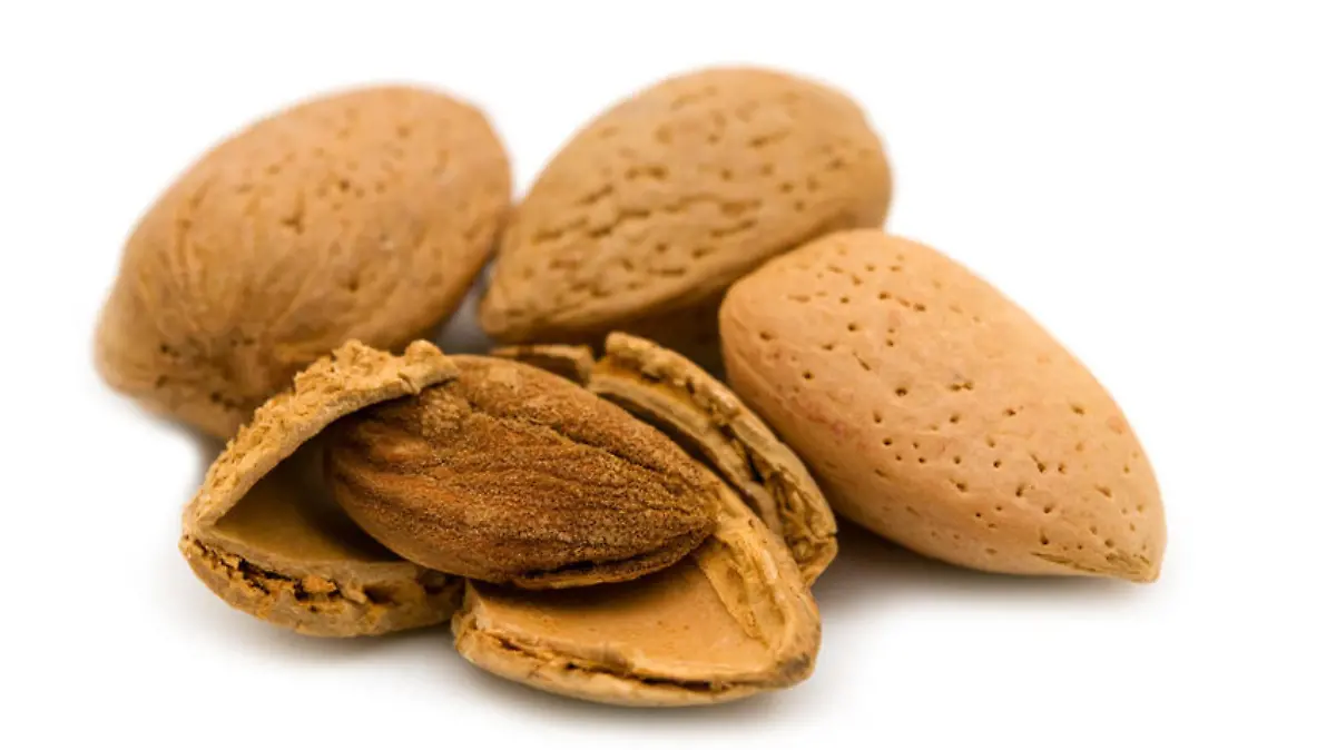 Almond on white background