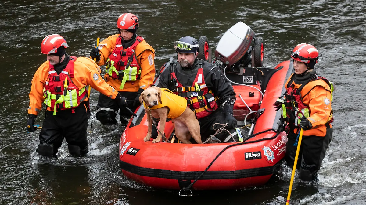 SONDERKONDITIONEN: Satzpreis!
A Search and Rescue dog sits along Lancashire Fire and Rescue Service. Lancashire Fire and Rescue and Lancashire Police officers search the River Wyre in search of missing woman Nicola Bulley. The area being searched is near a bench where a mobile phone was found, pictured in Lancs, Feb 1 2023. / action press