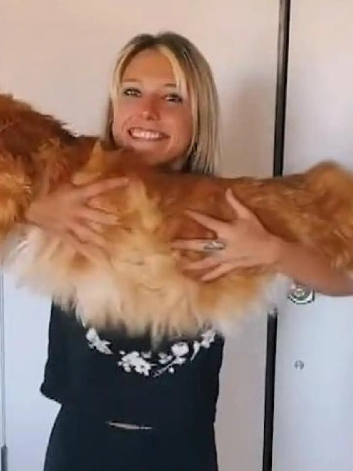 Diese Katze gibt dem Begriff „Stubentiger“ eine neue Bedeutung. Finn, die Maine Coon hat eine Länge von fast eineinhalb Metern -  und ist damit so groß wie neun Jahre altes Kind!