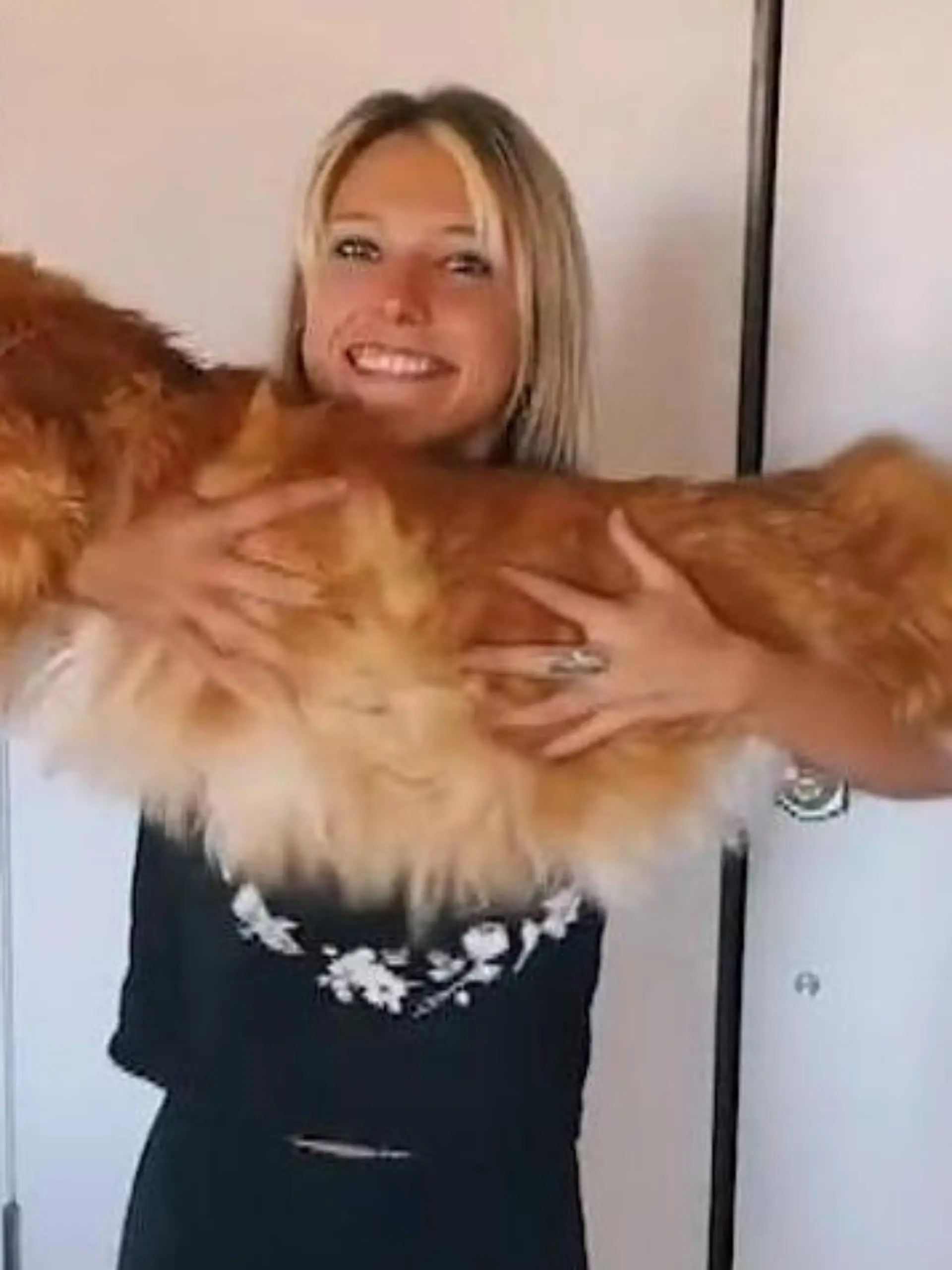 Diese Katze gibt dem Begriff „Stubentiger“ eine neue Bedeutung. Finn, die Maine Coon hat eine Länge von fast eineinhalb Metern -  und ist damit so groß wie neun Jahre altes Kind!