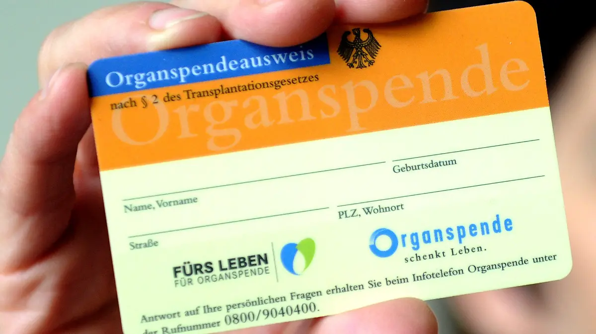 ARCHIV - Nordrhein-Westfalens Gesundheitsministerin Steffens (Grüne) hält am 24.05.2013 in Düsseldorf (Nordrhein-Westfalen) einen Organspendeausweis in der Hand. (zu dpa «Organspenderzahlen sinken auf niedrigsten Stand seit 20 Jahren" vom 13.01.2018) Foto: Caroline Seidel/dpa +++(c) dpa - Bildfunk+++