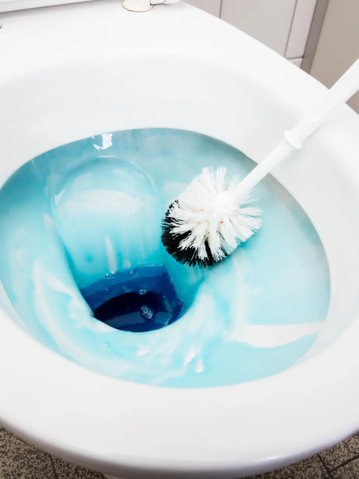 Toilettenbürste