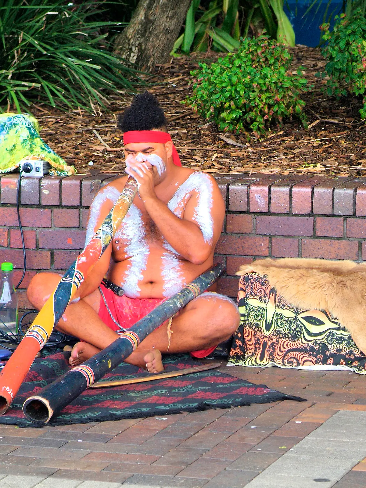 Ein Aborigine in Sydney, Australien.