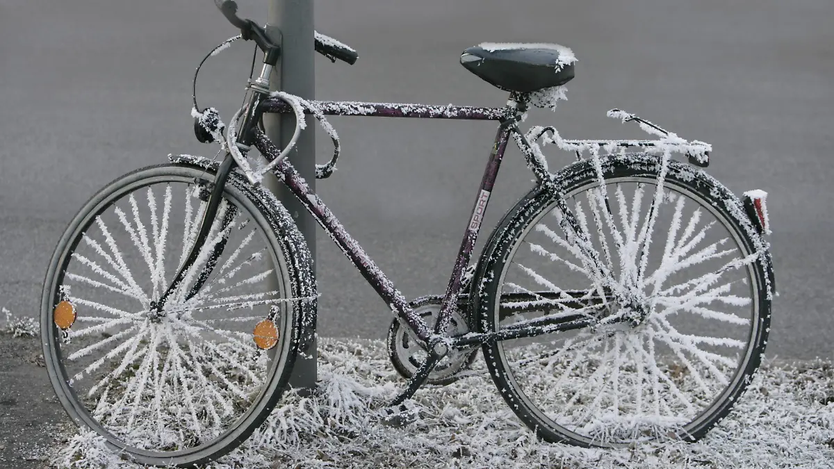Bildnummer: 59639350 Datum: 28.12.2007 Copyright: imago/imagebroker
Fahrrad überzogen mit Raureif xdp x0x 2007 quer 1 Objekt abgesperrter abgesperrte abgesperrtes abgesperrt angelehnter angelehnte angelehntes angelehnt Außenaufnahme draußen ein einzelnes Fahrradschloss Fahrradschlösser Fahrrad Fahrräder Ganzansichten Ganzansicht Herrenfahrrad Herrenfahrräder keine Personen Kälte Laternenmasten Laternenmast Laternenpfahl menschenleer niemand Pfahl Pfähle Rad Rauhreif Raureif Reif Schloss Schlösser schwarzer schwarze schwarzes schwarz tagsüber Tag winterlicher winterliche winterliches winterlich Winter
59639350 Date 28 12 2007 Copyright Imago image broker Bicycle excessive with Rime XDP x0x 2007 horizontal 1 Object Abgesperrter Abgesperrte abgesperrtes shut off angelehnter angelehnte angelehntes relationship Outside view outside a single Bicycle lock Bicycle locks Bicycle Bicycles Full view Men\u0026#39;s bicycle Men\u0026#39;s bicycles none People Cold Lantern poles Lantern mast Lantern pole deserted Nobody Pile Stakes Wheel Hoarfrost Rime ripe Castle locks Schwarzer Black Black Black during the day Day Winterlicher Winter Winter wintry Winter