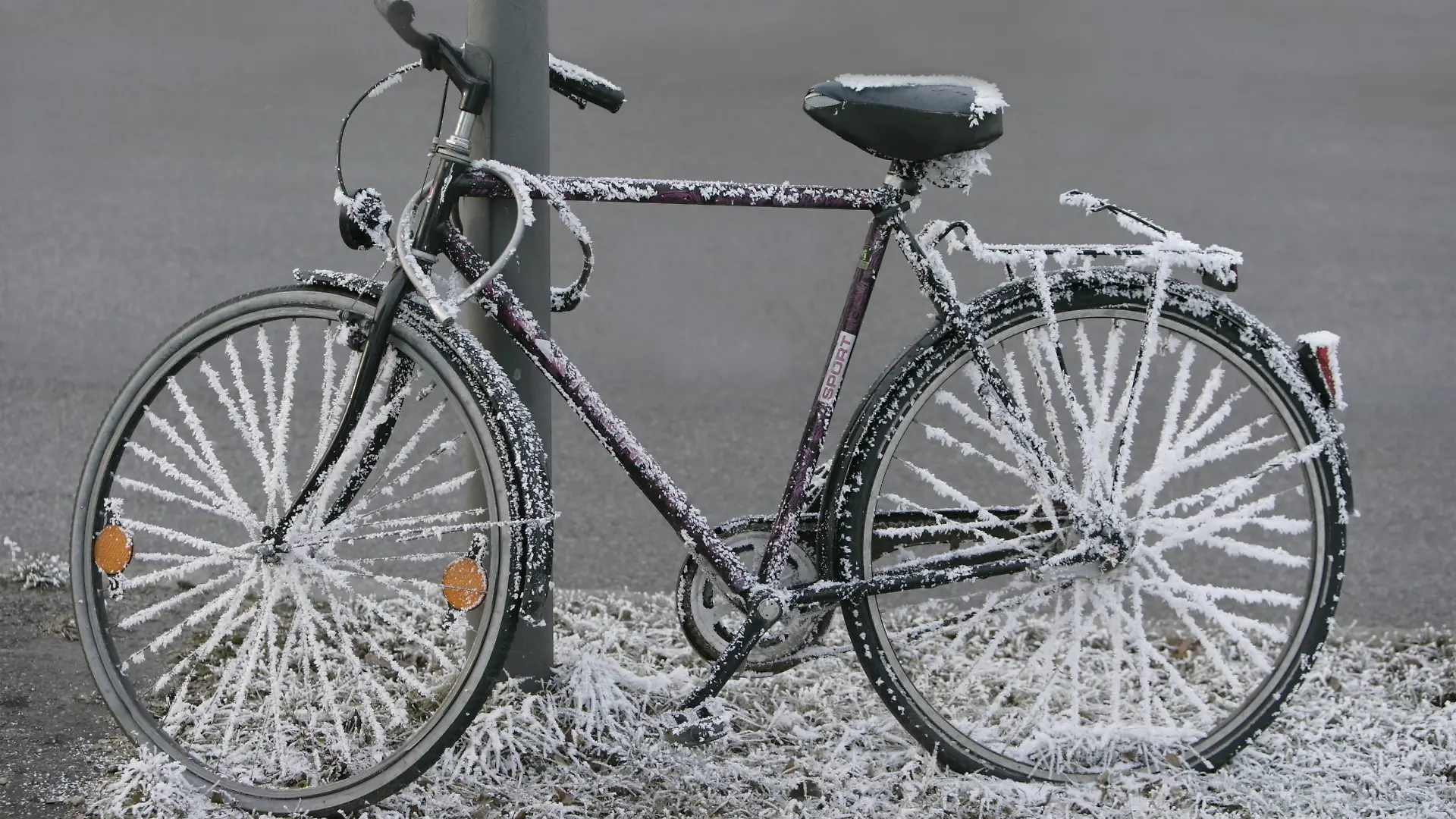 Bildnummer: 59639350 Datum: 28.12.2007 Copyright: imago/imagebroker
Fahrrad überzogen mit Raureif xdp x0x 2007 quer 1 Objekt abgesperrter abgesperrte abgesperrtes abgesperrt angelehnter angelehnte angelehntes angelehnt Außenaufnahme draußen ein einzelnes Fahrradschloss Fahrradschlösser Fahrrad Fahrräder Ganzansichten Ganzansicht Herrenfahrrad Herrenfahrräder keine Personen Kälte Laternenmasten Laternenmast Laternenpfahl menschenleer niemand Pfahl Pfähle Rad Rauhreif Raureif Reif Schloss Schlösser schwarzer schwarze schwarzes schwarz tagsüber Tag winterlicher winterliche winterliches winterlich Winter
59639350 Date 28 12 2007 Copyright Imago image broker Bicycle excessive with Rime XDP x0x 2007 horizontal 1 Object Abgesperrter Abgesperrte abgesperrtes shut off angelehnter angelehnte angelehntes relationship Outside view outside a single Bicycle lock Bicycle locks Bicycle Bicycles Full view Men\u0026#39;s bicycle Men\u0026#39;s bicycles none People Cold Lantern poles Lantern mast Lantern pole deserted Nobody Pile Stakes Wheel Hoarfrost Rime ripe Castle locks Schwarzer Black Black Black during the day Day Winterlicher Winter Winter wintry Winter