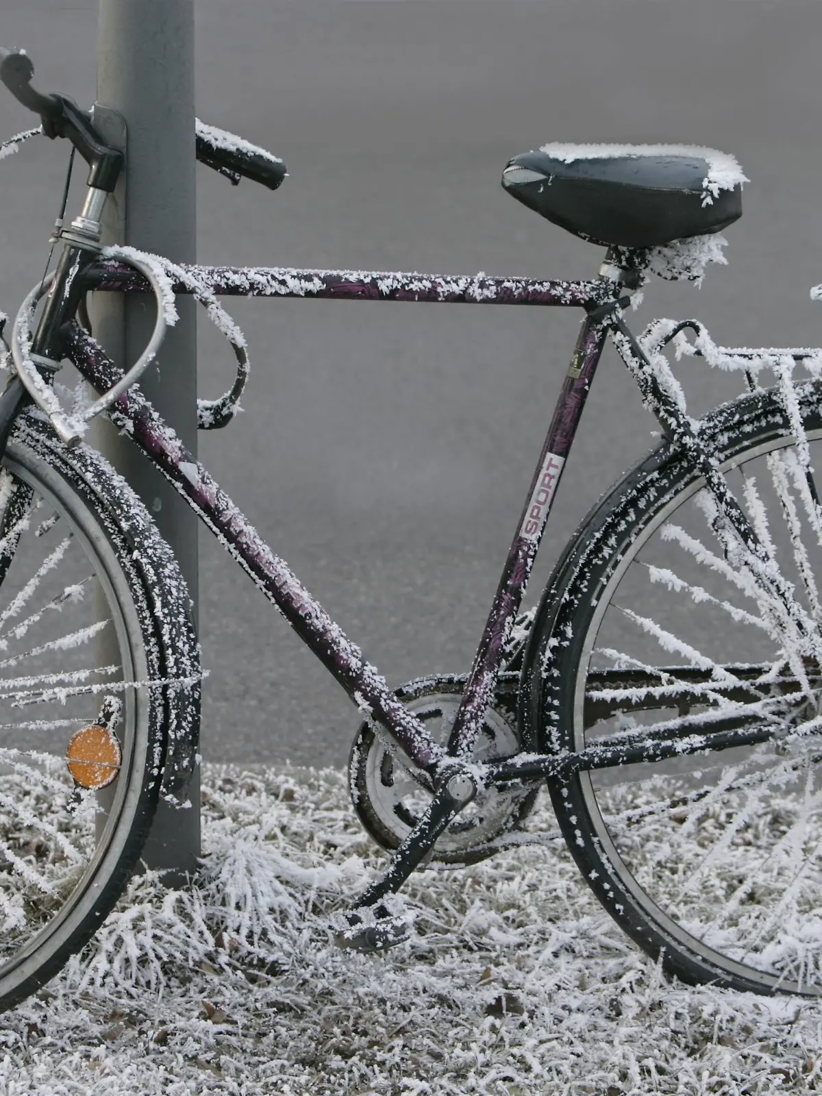 Bildnummer: 59639350  Datum: 28.12.2007  Copyright: imago/imagebroker
Fahrrad überzogen mit Raureif xdp x0x 2007 quer 1 Objekt abgesperrter abgesperrte abgesperrtes abgesperrt angelehnter angelehnte angelehntes angelehnt Außenaufnahme draußen ein einzelnes Fahrradschloss Fahrradschlösser Fahrrad Fahrräder Ganzansichten Ganzansicht Herrenfahrrad Herrenfahrräder keine Personen Kälte Laternenmasten Laternenmast Laternenpfahl menschenleer niemand Pfahl Pfähle Rad Rauhreif Raureif Reif Schloss Schlösser schwarzer schwarze schwarzes schwarz tagsüber Tag winterlicher winterliche winterliches winterlich Winter 

 59639350 Date 28 12 2007 Copyright Imago image broker Bicycle excessive with Rime XDP x0x 2007 horizontal 1 Object Abgesperrter Abgesperrte abgesperrtes shut off angelehnter angelehnte angelehntes relationship Outside view outside a single Bicycle lock Bicycle locks Bicycle Bicycles  Full view Men\u0026#39;s bicycle Men\u0026#39;s bicycles none People Cold Lantern poles Lantern mast Lantern pole deserted Nobody Pile Stakes Wheel Hoarfrost Rime ripe Castle locks Schwarzer Black Black Black during the day Day Winterlicher Winter Winter wintry Winter  