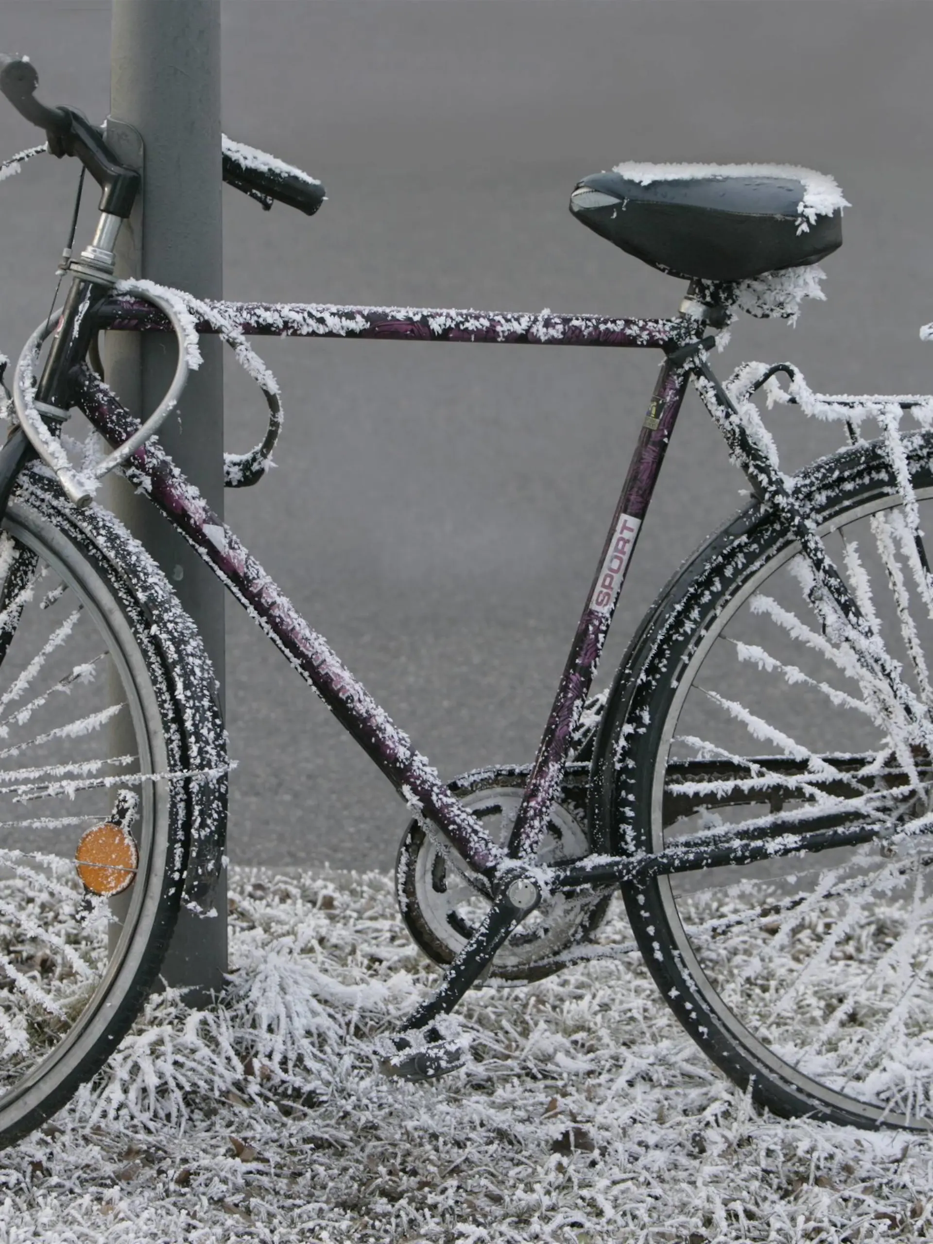 Bildnummer: 59639350  Datum: 28.12.2007  Copyright: imago/imagebroker
Fahrrad überzogen mit Raureif xdp x0x 2007 quer 1 Objekt abgesperrter abgesperrte abgesperrtes abgesperrt angelehnter angelehnte angelehntes angelehnt Außenaufnahme draußen ein einzelnes Fahrradschloss Fahrradschlösser Fahrrad Fahrräder Ganzansichten Ganzansicht Herrenfahrrad Herrenfahrräder keine Personen Kälte Laternenmasten Laternenmast Laternenpfahl menschenleer niemand Pfahl Pfähle Rad Rauhreif Raureif Reif Schloss Schlösser schwarzer schwarze schwarzes schwarz tagsüber Tag winterlicher winterliche winterliches winterlich Winter 

 59639350 Date 28 12 2007 Copyright Imago image broker Bicycle excessive with Rime XDP x0x 2007 horizontal 1 Object Abgesperrter Abgesperrte abgesperrtes shut off angelehnter angelehnte angelehntes relationship Outside view outside a single Bicycle lock Bicycle locks Bicycle Bicycles  Full view Men\u0026#39;s bicycle Men\u0026#39;s bicycles none People Cold Lantern poles Lantern mast Lantern pole deserted Nobody Pile Stakes Wheel Hoarfrost Rime ripe Castle locks Schwarzer Black Black Black during the day Day Winterlicher Winter Winter wintry Winter  