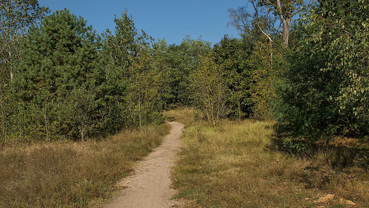 Ein Mann mit Maske soll Frauen begrapscht haben. Das in einem Berliner Volkspark Wuhlheide.