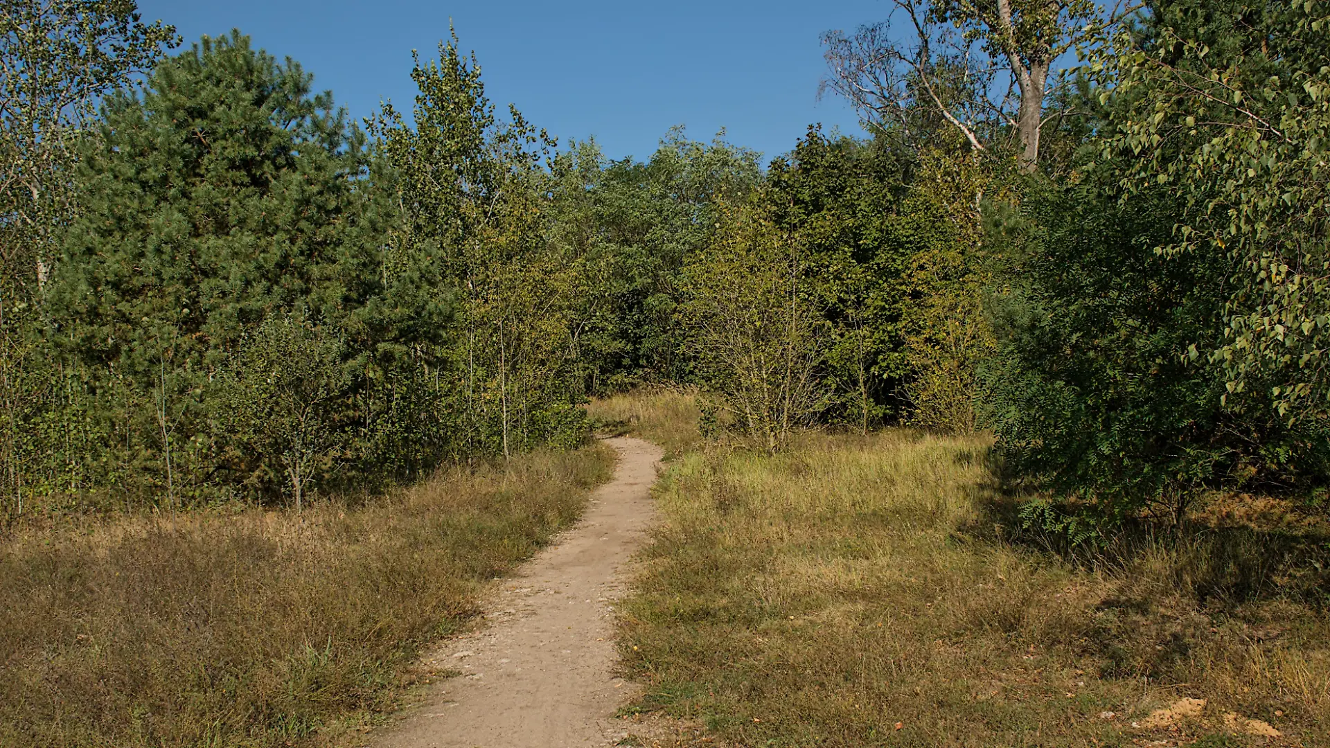Ein Mann mit Maske soll Frauen begrapscht haben. Das in einem Berliner Volkspark Wuhlheide.
