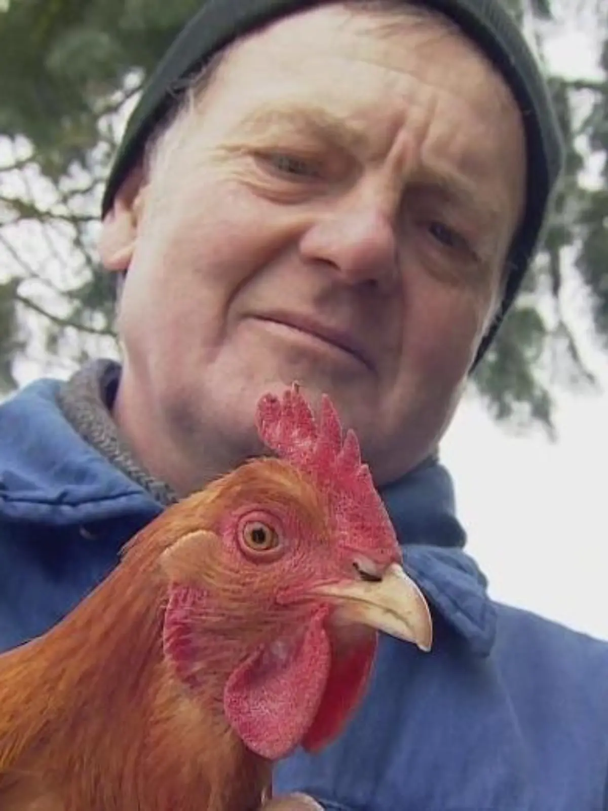 Bild zu: "Inge ist das cleverste Huhn Deutschlands!"