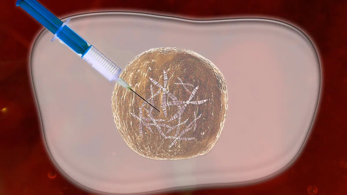 Scienceart Künstliche Befruchtung
