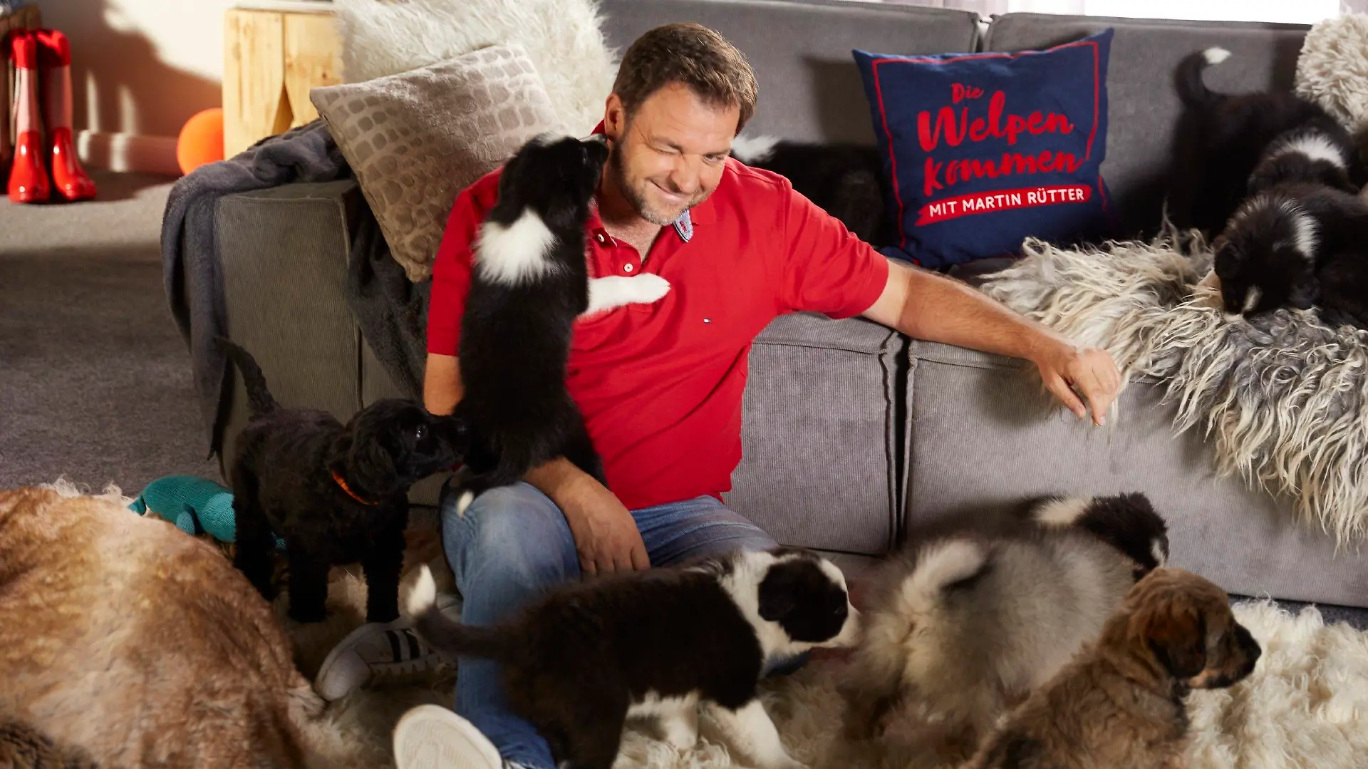 Hundeprofi Martin Rütter
Die Verwendung des sendungsbezogenen Materials ist nur mit dem Hinweis und Verlinkung auf RTL+ gestattet.