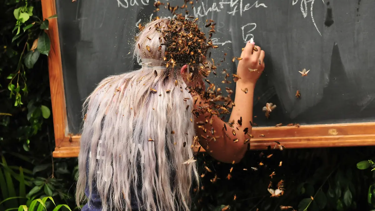 Brisbane, 19.01.2018, 12h02min

Staffel 12, Jan-Feb. 2018
RTL - Ich bin ein Star holt mich hier raus
Dschungelcamp

Trial: Dschungelschule

© RTL / Stefan Menne 
