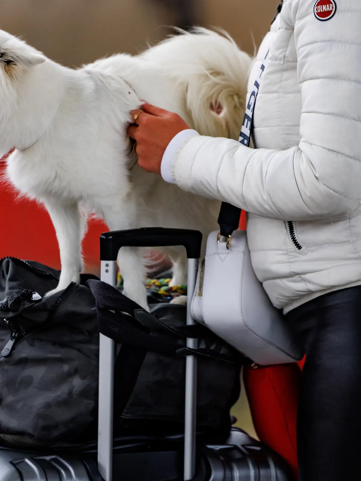 Eine Frau geht mit einem Hund und Reisegepäck am Bahnsteig des Bahnhofs Westerland auf Sylt entlang. Durch die Einführung des 9-Euro-Tickets haben sich die traditionell hohen Touristenzahlen an Pfingsten noch einmal erhöht.