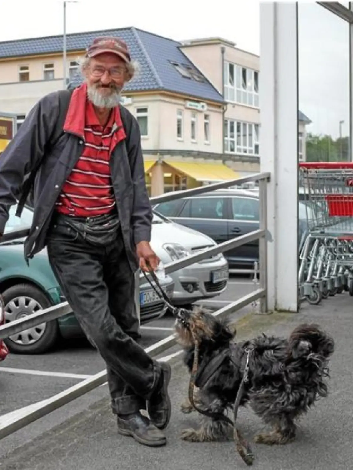 Nun vermisst der Obdachlose seine Hündin