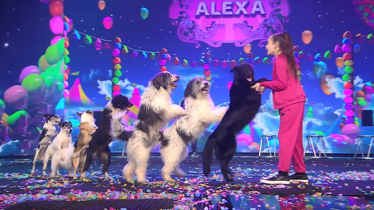 Alexa Lauenburger und ihre Hunde erobern die Herzen Das Supertalent 2017: Das große Finale
