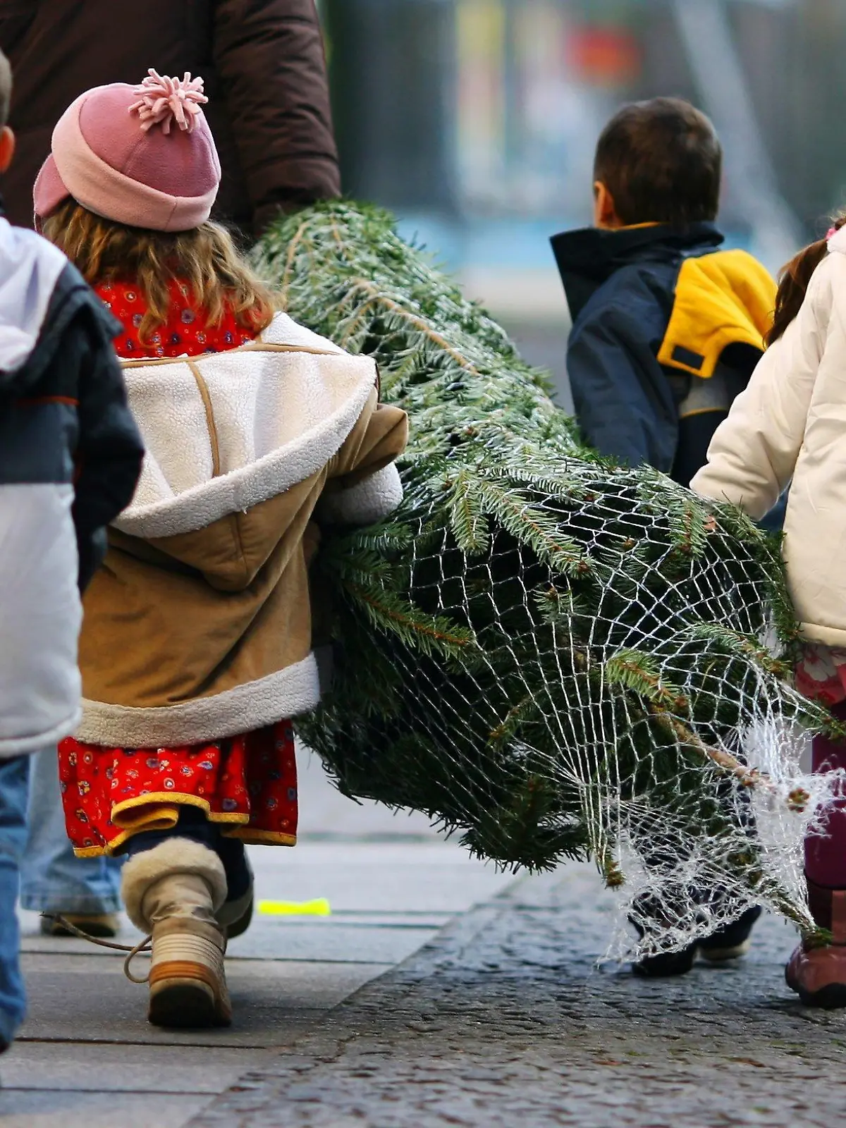 ARCHIV - Vier Kinder tragen in Berlin auf einem Fußweg zusammen mit einer Frau einen Weihnachtsbaum (Archivfoto vom 01.12.2006). Die Deutschen werden in diesem Jahr etwa 28 Millionen Weihnachtsbäume kaufen, 300 000 mehr als im vergangenen Jahr. Wie der Hauptverband der Holz verarbeitenden Industrie am Montag (11.12.2006) in Köln mitteilte, liegt dies an der zunehmenden Zahl von Singlehaushalten. Außerdem gebe es einen Trend zum Zweitbaum auf dem Balkon oder der Terrasse. Etwa jeder dritte Baum stammt aus dem Ausland.  Foto: Johannes Eisele dpa +++(c) dpa - Bildfunk+++