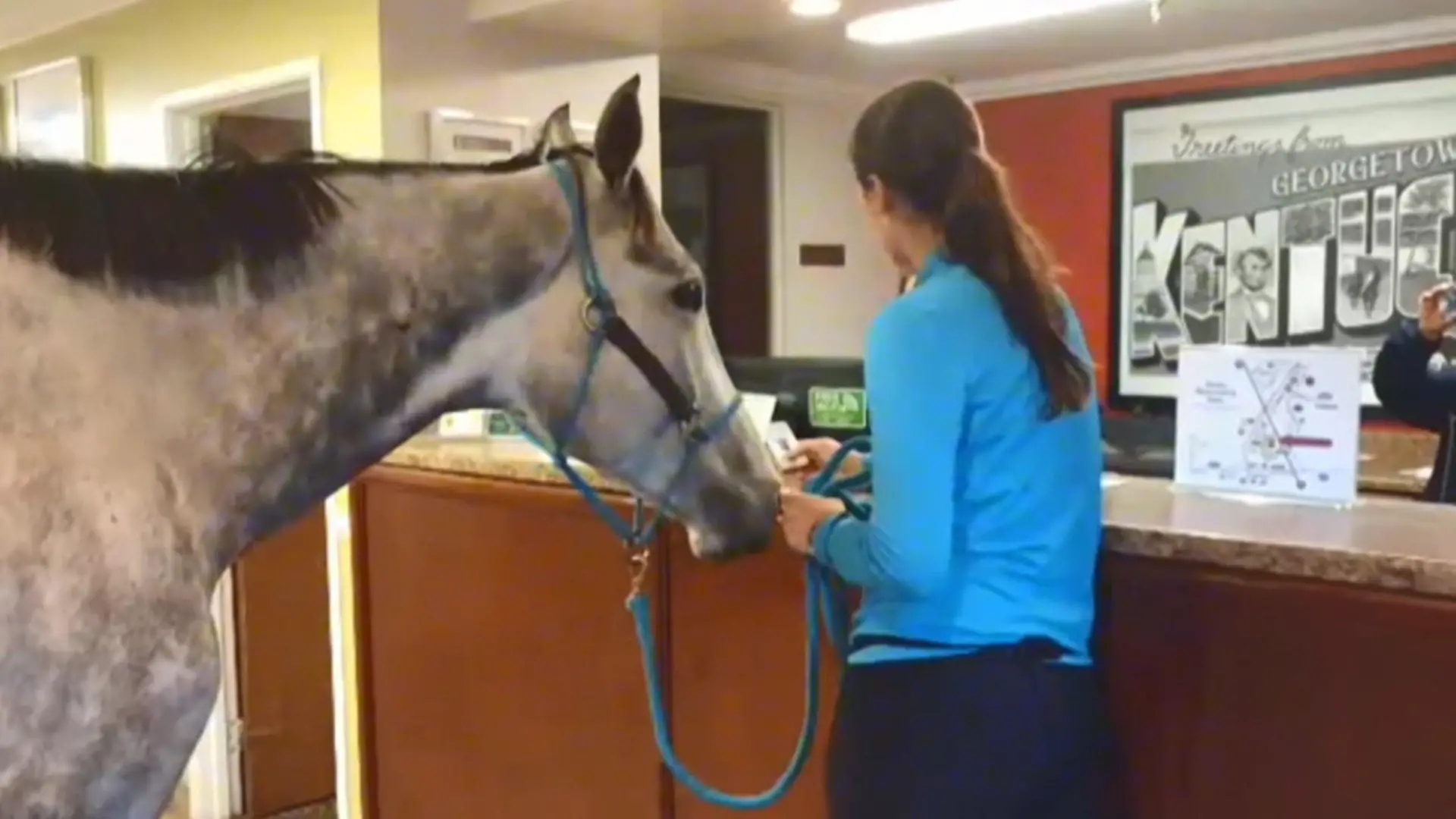 Sie checkt tatsächlich mit ihrem Pferd im Hotel ein