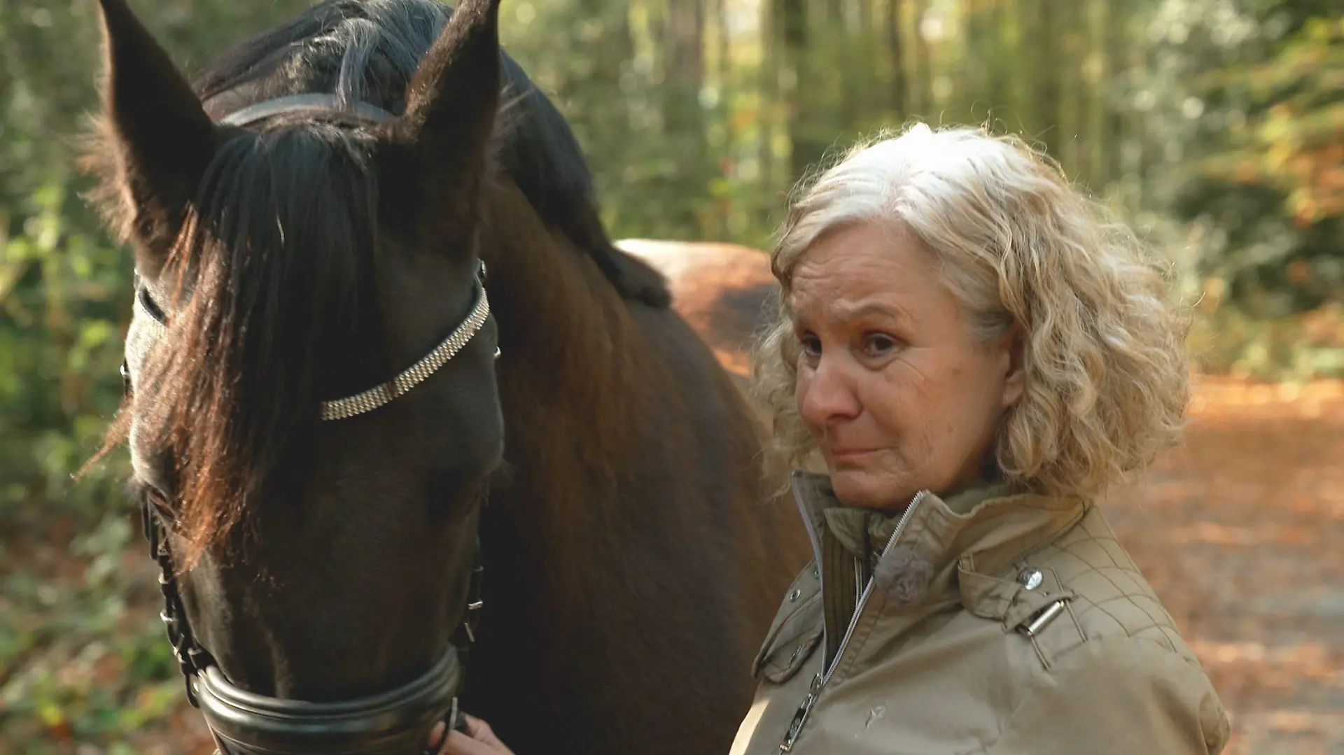 Neuer Tierschutz-Skandal in Deutschland - Das RTL-Magazin "Extra" stößt erneut auf Tierschutzverstöße auf deutschem Reiterhof. Carina (57) hat ein schlechtes Gewissen ihrem Pferd 'Tango' gegebüber, der vermutlich mit unzulässigen Methoden ausgebildet wurde und bis heute daruter leidet.
+++ Die Verwendung des sendungsbezogenen Materials ist nur mit dem Hinweis und Verlinkung auf RTL+ gestattet. +++