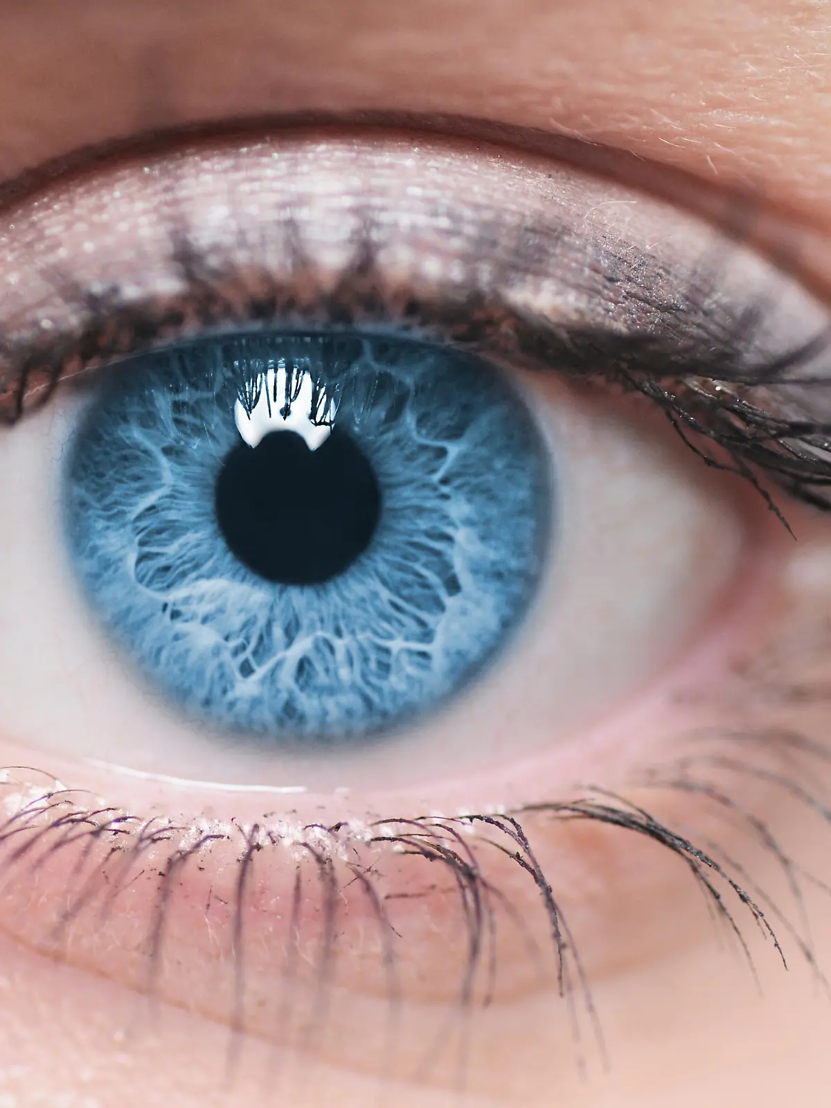 Macro image of human eye