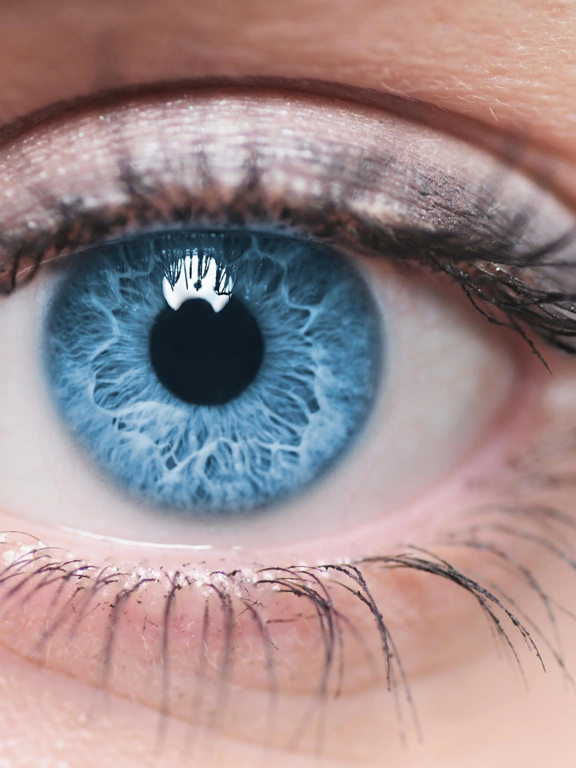 Macro image of human eye
