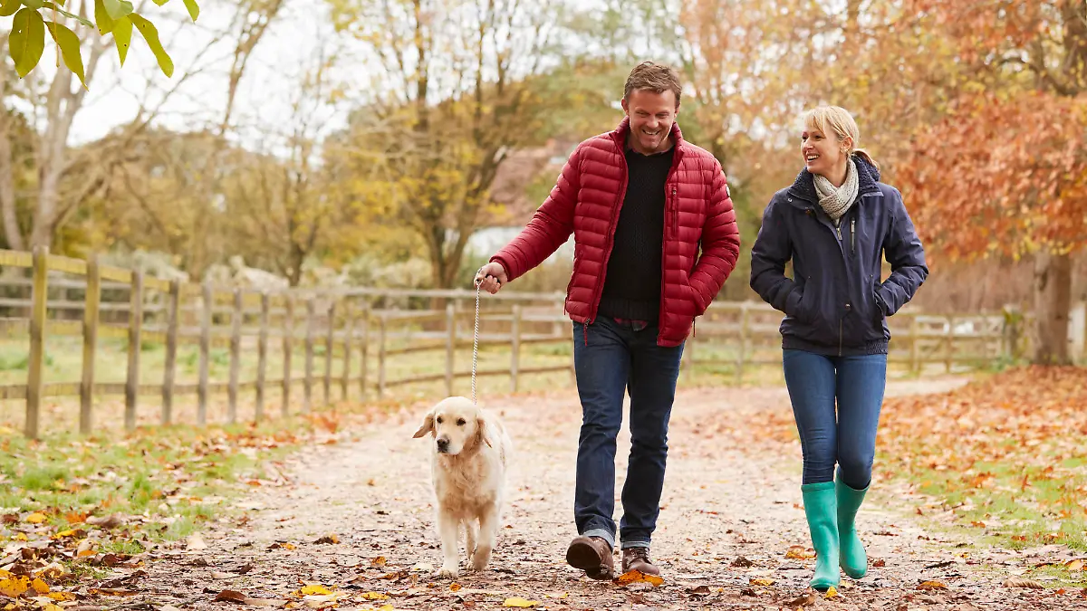 Wann muss ich meinen Hund anleinen? Rechte und Pflichten für Hundebesitzer
