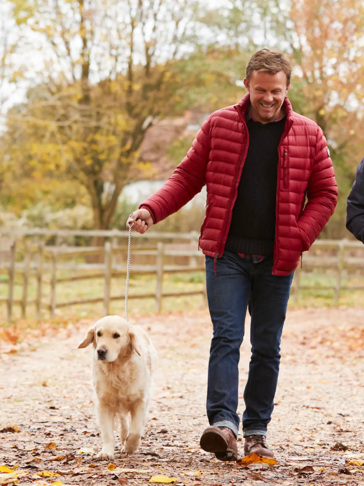 Bild zu: "Wann muss ich meinen Hund anleinen?"